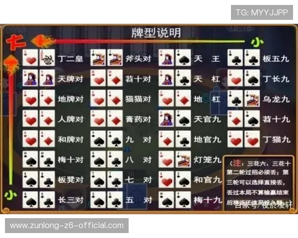 开云棋牌登录速度提升技巧提高登录效率的方法详解