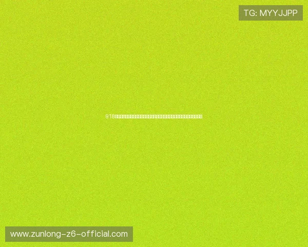 918博天娱乐官网首页最新版本上线，带来流畅的操作体验和丰富的游戏玩法推荐